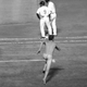 Illustration for article titled Naked Idiot On Turner Field Delays Athletics-Braves Game